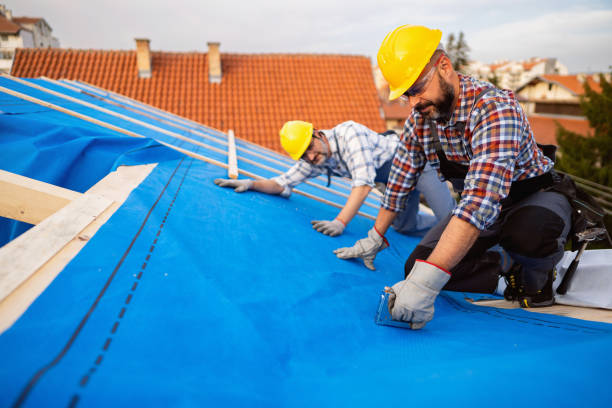 Best Roof Gutter Cleaning  in Goshen, CA